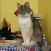 Отзыв от Маргарита Маркелова